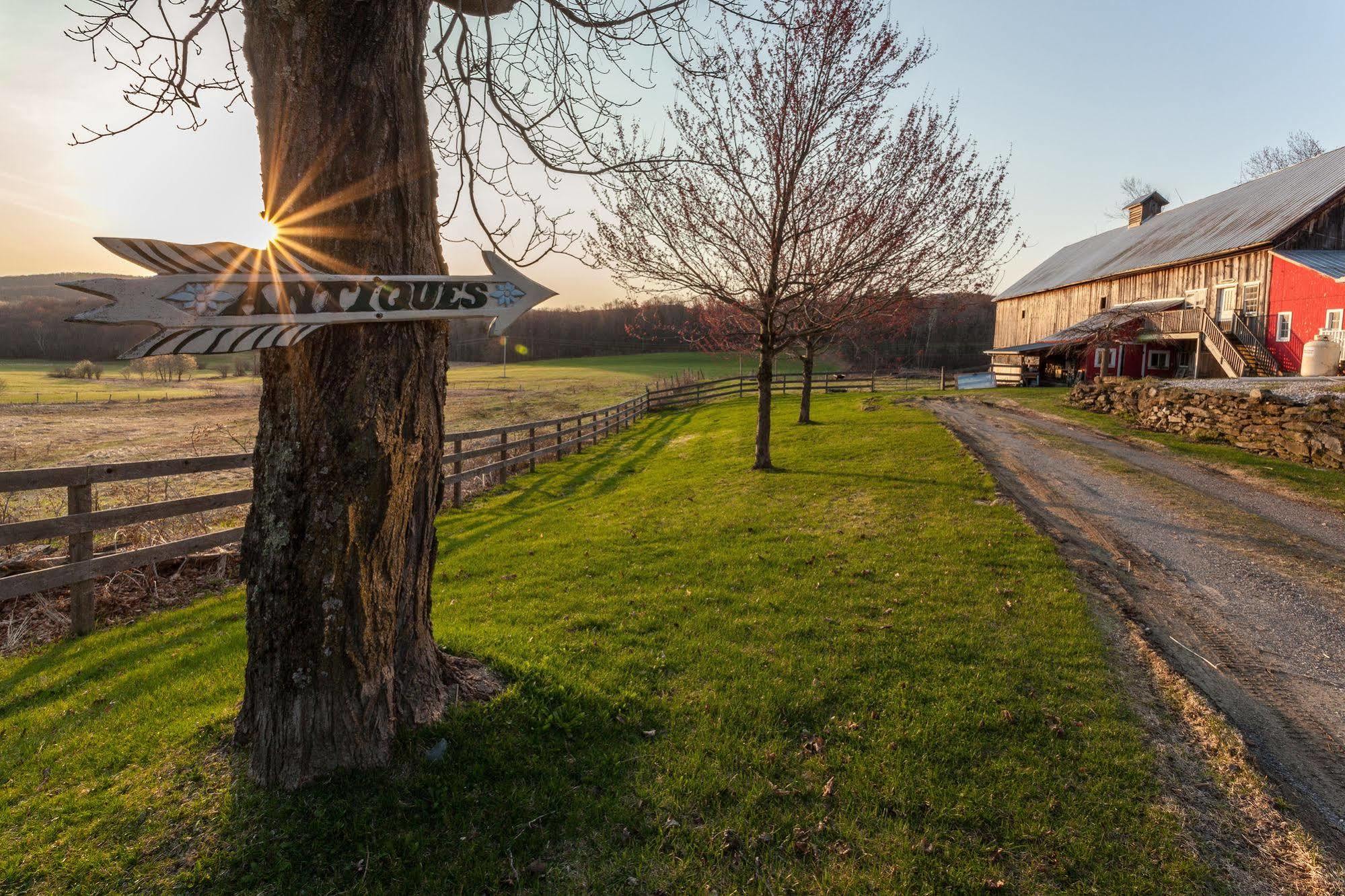 Inn At Buck Hollow Farm Fairfax Exteriör bild